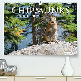 Kalender Chipmunks Streifenhörnchen (Premium, hochwertiger DIN A2 Wandkalender 2022, Kunstdruck in Hochglanz) von Robert Styppa