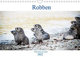 Kalender Robben - Halbstarke an Land (Wandkalender 2022 DIN A4 quer) von Nadja Siegl aka THE DUN DOG