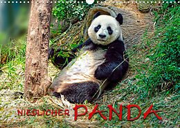 Kalender Niedlicher Panda (Wandkalender 2022 DIN A3 quer) von Peter Roder