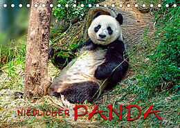 Kalender Niedlicher Panda (Tischkalender 2022 DIN A5 quer) von Peter Roder