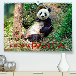 Kalender Niedlicher Panda (Premium, hochwertiger DIN A2 Wandkalender 2022, Kunstdruck in Hochglanz) von Peter Roder