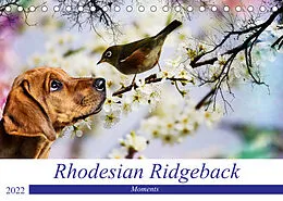 Kalender Rhodesian Ridgeback - Moments (Tischkalender 2022 DIN A5 quer) von Dagmar Behrens