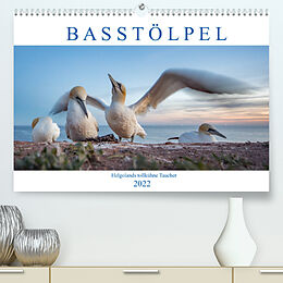 Kalender Basstölpel - Helgolands tollkühne Taucher (Premium, hochwertiger DIN A2 Wandkalender 2022, Kunstdruck in Hochglanz) von Norman Preißler