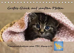 Kalender Tierschutzkatzen vom TSV-Neuss - Großes Glück auf sanften Pfoten (Tischkalender 2022 DIN A5 quer) von Jane B