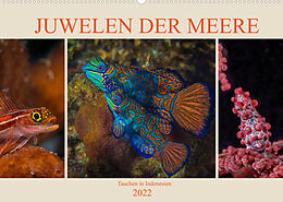 Kalender Juwelen der Meere (Wandkalender 2022 DIN A2 quer) von Dieter Gödecke