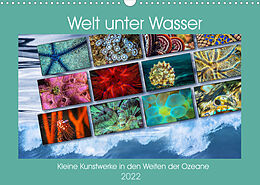 Kalender Kleine Kunstwerke in den Weiten der Ozeane (Wandkalender 2022 DIN A3 quer) von Dieter Gödecke
