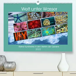 Kalender Kleine Kunstwerke in den Weiten der Ozeane (Premium, hochwertiger DIN A2 Wandkalender 2022, Kunstdruck in Hochglanz) von Dieter Gödecke