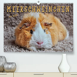 Kalender Meerschweinchen - so süß (Premium, hochwertiger DIN A2 Wandkalender 2022, Kunstdruck in Hochglanz) von Peter Roder