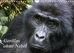 Kalender Gorillas ohne Nebel (Wandkalender 2022 DIN A4 quer) von Dr. Helmut Gulbins