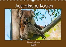 Kalender Australische Koalas (Wandkalender 2022 DIN A3 quer) von Sidney Smith