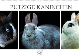 Kalender Putzige Kaninchen - Artwork (Wandkalender 2022 DIN A2 quer) von Liselotte Brunner-Klaus