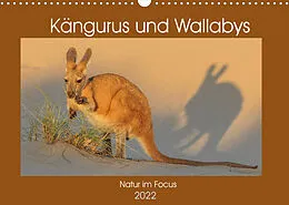Kalender Kängururs und Wallabys (Wandkalender 2022 DIN A3 quer) von Sidney Smith
