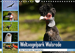 Kalender Weltvogelpark Walsrode - Die Vielfalt der Vogelarten (Wandkalender 2022 DIN A4 quer) von Frank Gayde Quelle: Weltvogelpark Walsrode