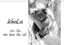 Kalender Koala Ein Bär, der kein Bär ist (Wandkalender 2022 DIN A4 quer) von Silvia Drafz
