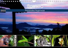 Kalender Borneo - Tierparadies Regenwald (Wandkalender 2022 DIN A4 quer) von Michael Herzog