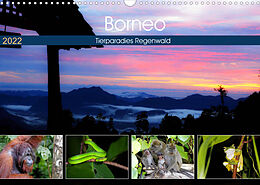 Kalender Borneo - Tierparadies Regenwald (Wandkalender 2022 DIN A3 quer) von Michael Herzog
