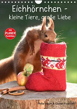 Kalender Eichhörnchen - kleine Tiere, große Liebe (Wandkalender 2022 DIN A4 hoch) von Heike Adam