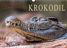 Kalender Urzeitreptilien - Krokodil (Wandkalender 2022 DIN A3 quer) von Peter Roder