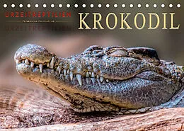 Kalender Urzeitreptilien - Krokodil (Tischkalender 2022 DIN A5 quer) von Peter Roder