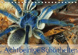 Kalender Achtbeinige Schönheiten (Tischkalender 2022 DIN A5 quer) von Wolfgang Kairat - dewolli.de