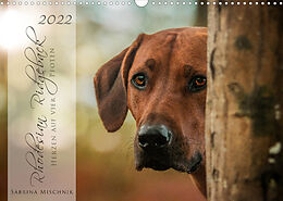 Kalender Rhodesian Ridgeback - Herzen auf vier Pfoten (Wandkalender 2022 DIN A3 quer) von Sabrina Mischnik