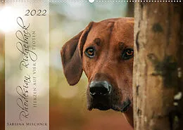 Kalender Rhodesian Ridgeback - Herzen auf vier Pfoten (Wandkalender 2022 DIN A2 quer) von Sabrina Mischnik