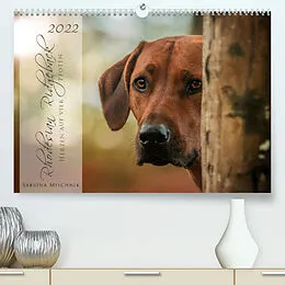 Kalender Rhodesian Ridgeback - Herzen auf vier Pfoten (Premium, hochwertiger DIN A2 Wandkalender 2022, Kunstdruck in Hochglanz) von Sabrina Mischnik