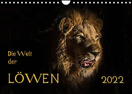 Kalender Die Welt der Löwen (Wandkalender 2022 DIN A4 quer) von Barbara Bethke