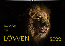 Kalender Die Welt der Löwen (Wandkalender 2022 DIN A2 quer) von Barbara Bethke