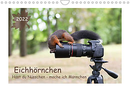 Kalender Eichhörnchen - Hast du Nüsschen mache ich Männchen (Wandkalender 2022 DIN A4 quer) von Birgit Cerny