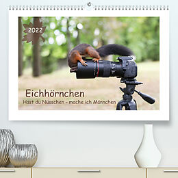 Kalender Eichhörnchen - Hast du Nüsschen mache ich Männchen (Premium, hochwertiger DIN A2 Wandkalender 2022, Kunstdruck in Hochglanz) von Birgit Cerny