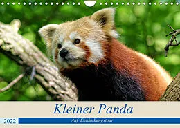 Kalender Kleiner Panda auf Entdeckungstour (Wandkalender 2022 DIN A4 quer) von Peter Hebgen