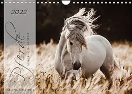 Kalender Pferde - Spiegel deiner Seele (Wandkalender 2022 DIN A4 quer) von Sabrina Mischnik