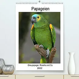 Kalender Papageien - Graupapagei, Rosella und Co. (Premium, hochwertiger DIN A2 Wandkalender 2022, Kunstdruck in Hochglanz) von Antje Lindert-Rottke