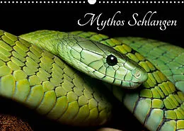 Kalender Mythos Schlangen (Wandkalender 2022 DIN A3 quer) von Daniel Liepack
