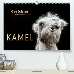 Kalender Kamel Gesichter (Premium, hochwertiger DIN A2 Wandkalender 2022, Kunstdruck in Hochglanz) von Peter Roder