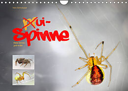 Kalender ui - Spinne. Kleine Spinnen - groß im Bild (Wandkalender 2022 DIN A4 quer) von Heinz Schmidbauer