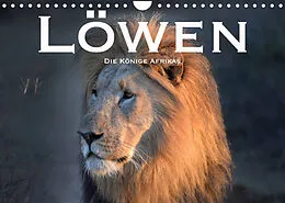 Kalender Löwen. Die Könige Afrikas (Wandkalender 2022 DIN A4 quer) von Robert Styppaa