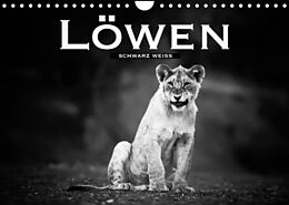 Kalender Löwen schwarz weiß (Wandkalender 2022 DIN A4 quer) von Robert Styppa