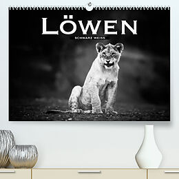 Kalender Löwen schwarz weiß (Premium, hochwertiger DIN A2 Wandkalender 2022, Kunstdruck in Hochglanz) von Robert Styppa