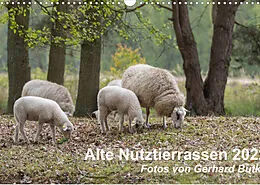 Kalender Alte Nutztierrassen 2022 (Wandkalender 2022 DIN A3 quer) von Gerhard Butke