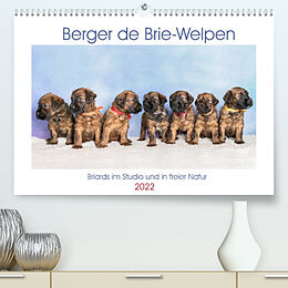 Kalender Berger de Brie - Welpen (Premium, hochwertiger DIN A2 Wandkalender 2022, Kunstdruck in Hochglanz) von Sonja Tessen