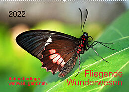 Kalender Fliegende Wunderwesen. Schmetterlinge weltweit, ganz nah (Wandkalender 2022 DIN A2 quer) von Thomas Zeidler