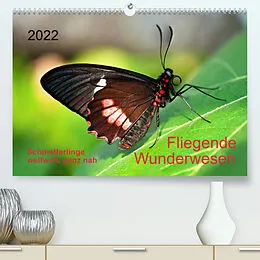Kalender Fliegende Wunderwesen. Schmetterlinge weltweit, ganz nah (Premium, hochwertiger DIN A2 Wandkalender 2022, Kunstdruck in Hochglanz) von Thomas Zeidler