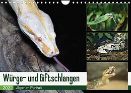 Kalender Würge- und Giftschlangen (Wandkalender 2022 DIN A4 quer) von N N
