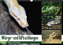 Kalender Würge- und Giftschlangen (Wandkalender 2022 DIN A3 quer) von N N