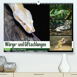 Kalender Würge- und Giftschlangen (Premium, hochwertiger DIN A2 Wandkalender 2022, Kunstdruck in Hochglanz) von N N