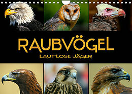 Kalender Raubvögel - lautlose Jäger (Wandkalender 2022 DIN A4 quer) von Renate Bleicher