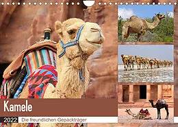 Kalender Kamele - Die freundlichen Gepäckträger (Wandkalender 2022 DIN A4 quer) von Michael Herzog