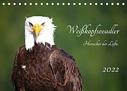 Kalender Weißkopfseeadler. Herrscher der Lüfte. 2022 (Tischkalender 2022 DIN A5 quer) von Holm Anders